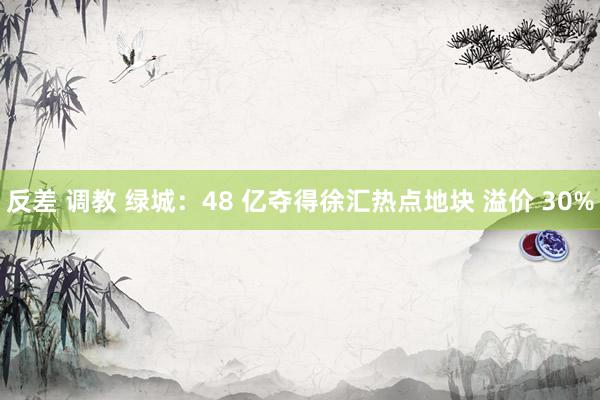 反差 调教 绿城:48 亿夺得徐汇热点地块 溢价 30%