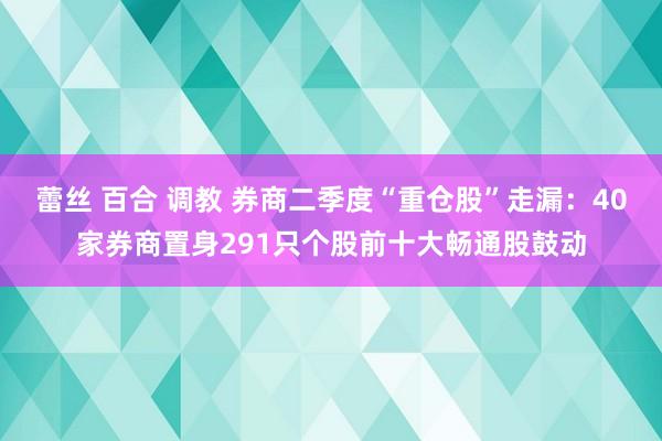 蕾丝 百合 调教 券商二季度“重仓股”走漏：40家券商置身291只个股前十大畅通股鼓动