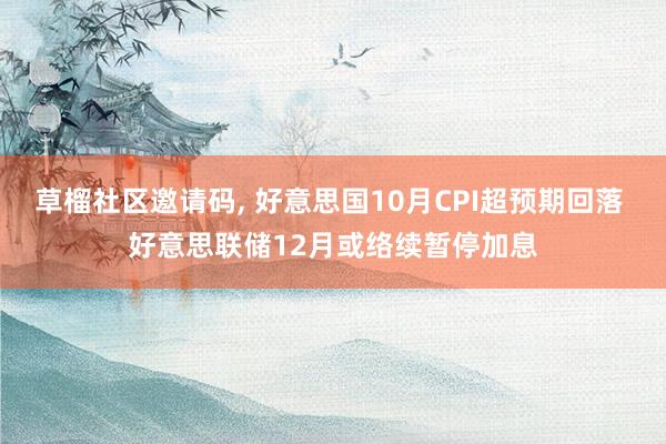草榴社区邀请码， 好意思国10月CPI超预期回落 好意思联储12月或络续暂停加息