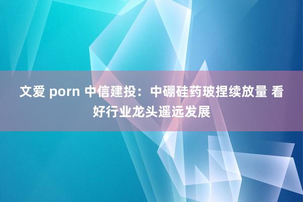 文爱 porn 中信建投：中硼硅药玻捏续放量 看好行业龙头遥远发展