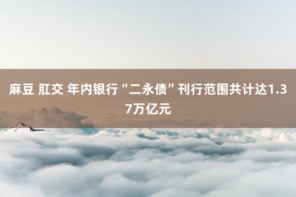 麻豆 肛交 年内银行“二永债”刊行范围共计达1.37万亿元