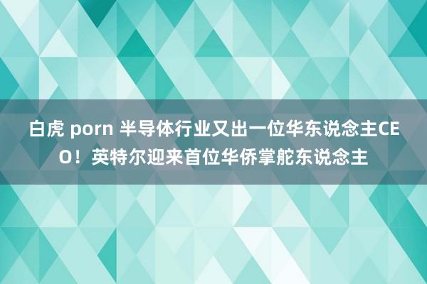 白虎 porn 半导体行业又出一位华东说念主CEO！英特尔迎来首位华侨掌舵东说念主