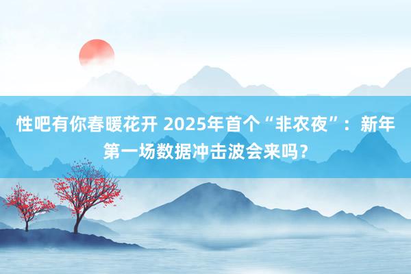性吧有你春暖花开 2025年首个“非农夜”：新年第一场数据冲击波会来吗？