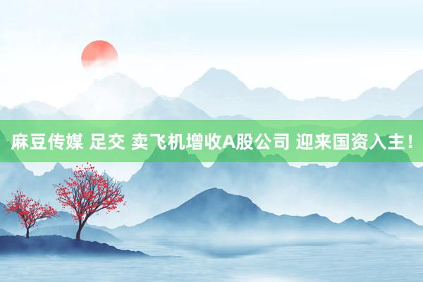 麻豆传媒 足交 卖飞机增收A股公司 迎来国资入主！