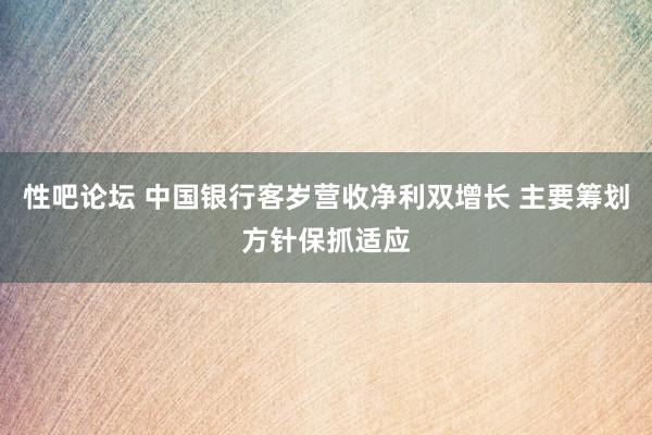 性吧论坛 中国银行客岁营收净利双增长 主要筹划方针保抓适应